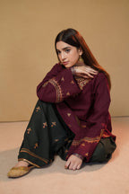 Zar-e-Noor 2pc