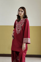 Gulnaar 2pc embroidered