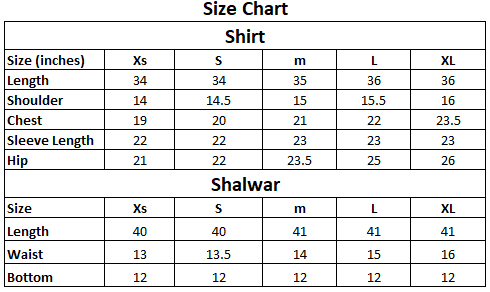 ZARQASH 2 PIECE EMBRIODERY